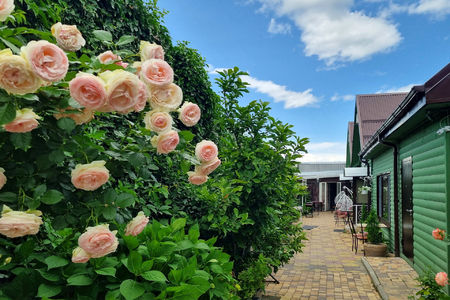 Гостевой дом Green House